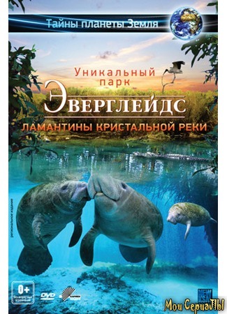 кино Эверглейдс 3D: Ламантины Кристальной реки (Adventure Everglades 3D: The Manatees of Crystal River) 17.05.20