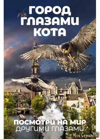 кино Город глазами кота (Wild Amsterdam: De wilde stad) 17.05.20