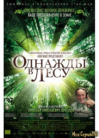 кино Однажды в лесу (Once in the Forest) 17.05.20