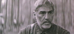 Ждите связного