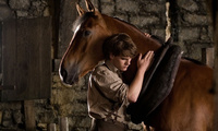 War Horse