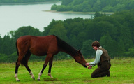 War Horse