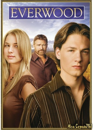 кино Любовь вдовца (Everwood) 28.06.20