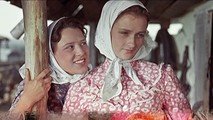 Тихий дон (1957)