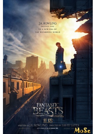 кино Fantastic Beasts and Where to Find Them (Фантастические твари и где они обитают) 12.07.20