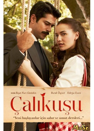 кино Королёк — птичка певчая (Lovebird: Çalıkuşu) 26.09.20