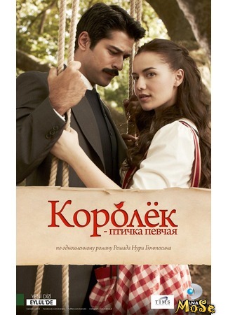 кино Королёк — птичка певчая (Lovebird: Çalıkuşu) 26.09.20