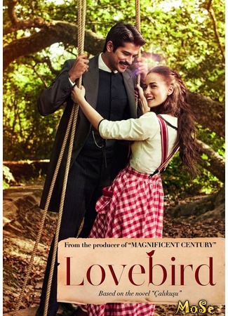 кино Королёк — птичка певчая (Lovebird: Çalıkuşu) 26.09.20