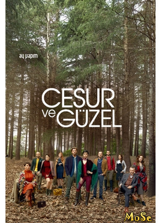 кино Отважный и Красавица (Cesur ve Guzel: Cesur ve Güzel) 29.09.20