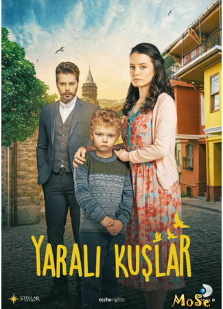 кино Раненые птицы (Yarali Kuslar: Yaralı Kuşlar) 01.10.20