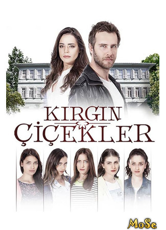 кино Обиженные Цветы (Orphan Flowers: Kırgın Çiçekler) 06.10.20