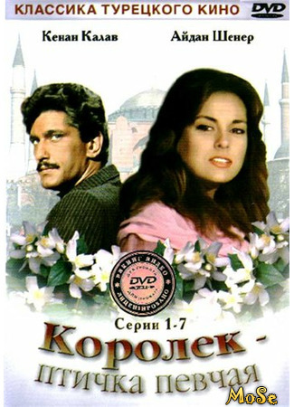 кино Calikusu (Королёк — птичка певчая: Çalıkuşu) 08.10.20