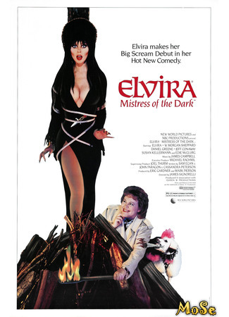 кино Elvira: Mistress of the Dark (Эльвира — повелительница тьмы) 13.10.20