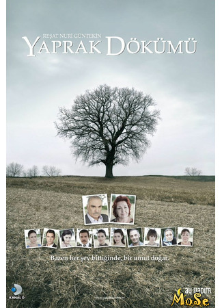 кино Листопад (The Fall of Leaves: Yaprak Dökümü) 14.10.20