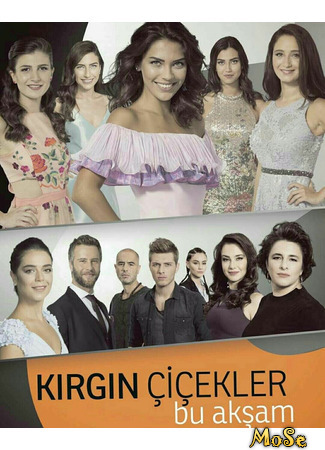 кино Orphan Flowers, season 3 (Обиженные Цветы, 3-й сезон: Kırgın Çiçekler, sezon 3) 17.10.20