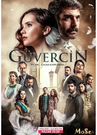 кино Guvercin (Голубка: Güvercin) 19.10.20