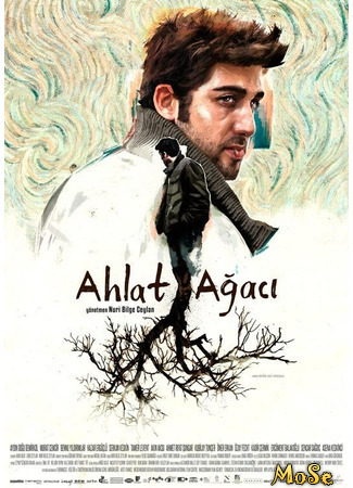 кино Дикая груша (The Wild Pear Tree: Ahlat Ağacı) 20.10.20