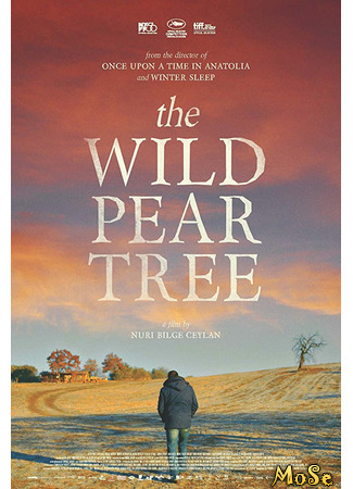 кино Дикая груша (The Wild Pear Tree: Ahlat Ağacı) 20.10.20