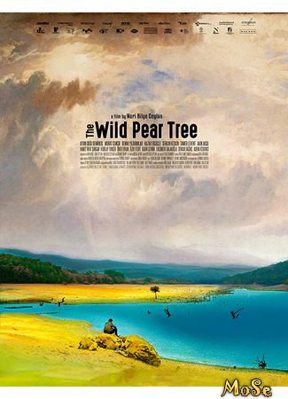 кино Дикая груша (The Wild Pear Tree: Ahlat Ağacı) 20.10.20