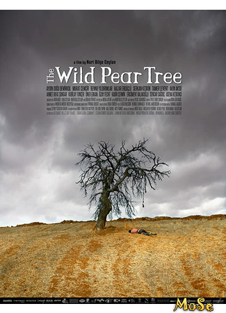 кино Дикая груша (The Wild Pear Tree: Ahlat Ağacı) 20.10.20