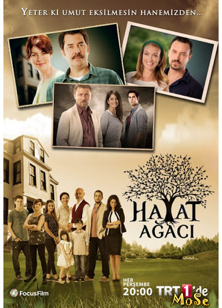 кино Hayat Agaci (Дерево жизни: Hayat Ağacı) 20.10.20