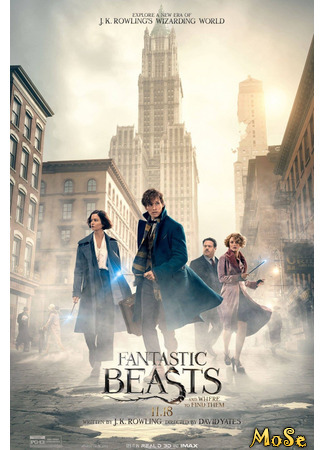 кино Fantastic Beasts and Where to Find Them (Фантастические твари и где они обитают) 27.10.20