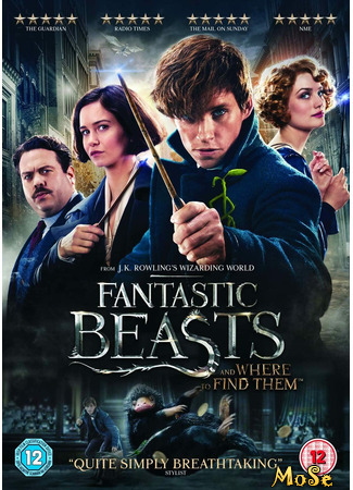 кино Fantastic Beasts and Where to Find Them (Фантастические твари и где они обитают) 27.10.20