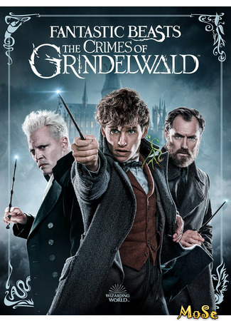 кино Фантастические твари: Преступления Грин-де-Вальда (Fantastic Beasts: The Crimes of Grindelwald) 06.11.20