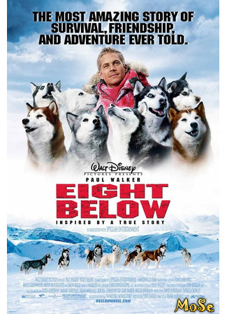 кино Белый плен (Eight Below) 27.11.20