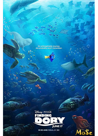 кино В поисках Дори (Finding Dory) 27.11.20