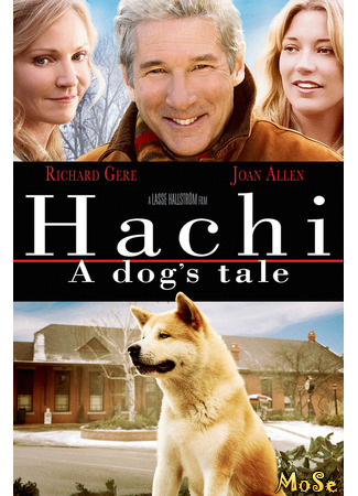 кино Хатико: Самый верный друг (Hachi: A Dog&#39;s Tale) 27.11.20