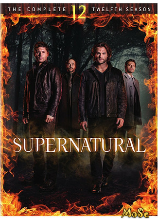 кино Сверхъестественное (Supernatural) 30.11.20