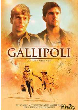 кино Gallipoli (Галлиполи) 13.12.20