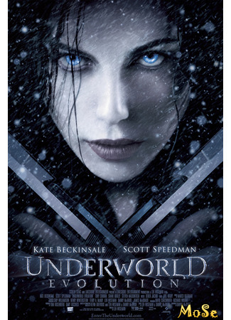 кино Другой мир 2: Эволюция (Underworld: Evolution) 10.01.21