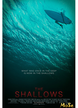 кино Отмель (The Shallows) 15.01.21