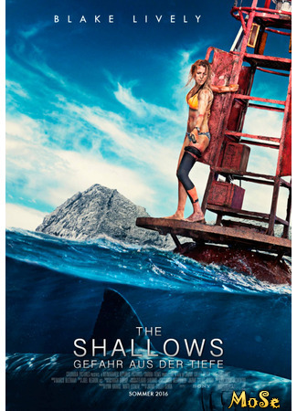 кино Отмель (The Shallows) 15.01.21