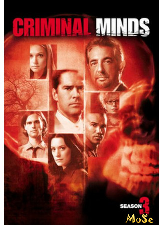 кино Criminal Minds, season 3 (Мыслить как преступник, 3-й сезон) 16.01.21