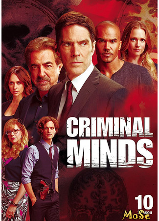 кино Мыслить как преступник (Criminal Minds) 16.01.21