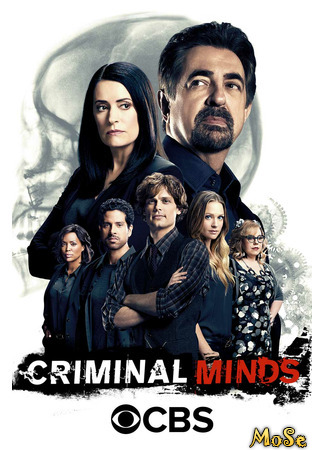 кино Мыслить как преступник (Criminal Minds) 16.01.21