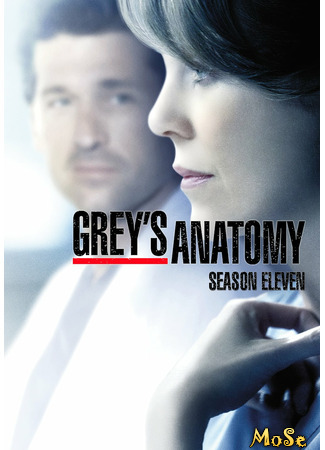 кино Анатомия страсти (Grey&#39;s Anatomy) 18.01.21