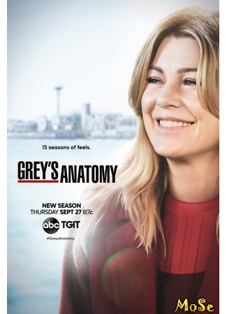 кино Анатомия страсти (Grey&#39;s Anatomy) 18.01.21