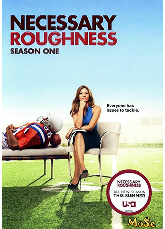 кино Необходимая жестокость (Necessary Roughness) 18.01.21