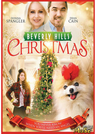 кино Beverly Hills Christmas (Рождество в Беверли-Хиллз) 19.01.21