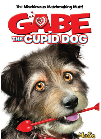 кино Gabe the Cupid Dog (Пес-купидон) 19.01.21