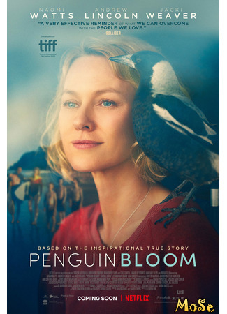 кино Penguin Bloom (История семьи Блум) 30.01.21