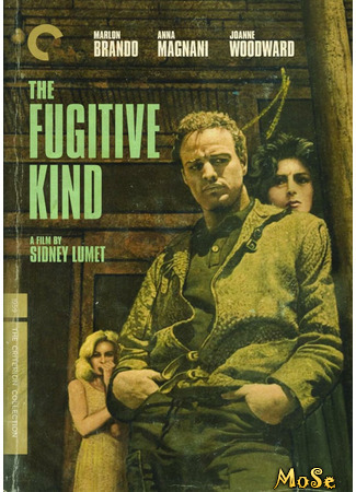 кино Из породы беглецов (The Fugitive Kind) 07.03.21