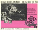 The Night of the Iguana