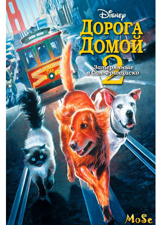 кино Homeward Bound II: Lost in San Francisco (Дорога домой 2: Затерянные в Сан-Франциско) 08.04.21