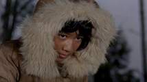 White Fang (1973)