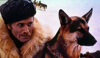 White Fang (1973)